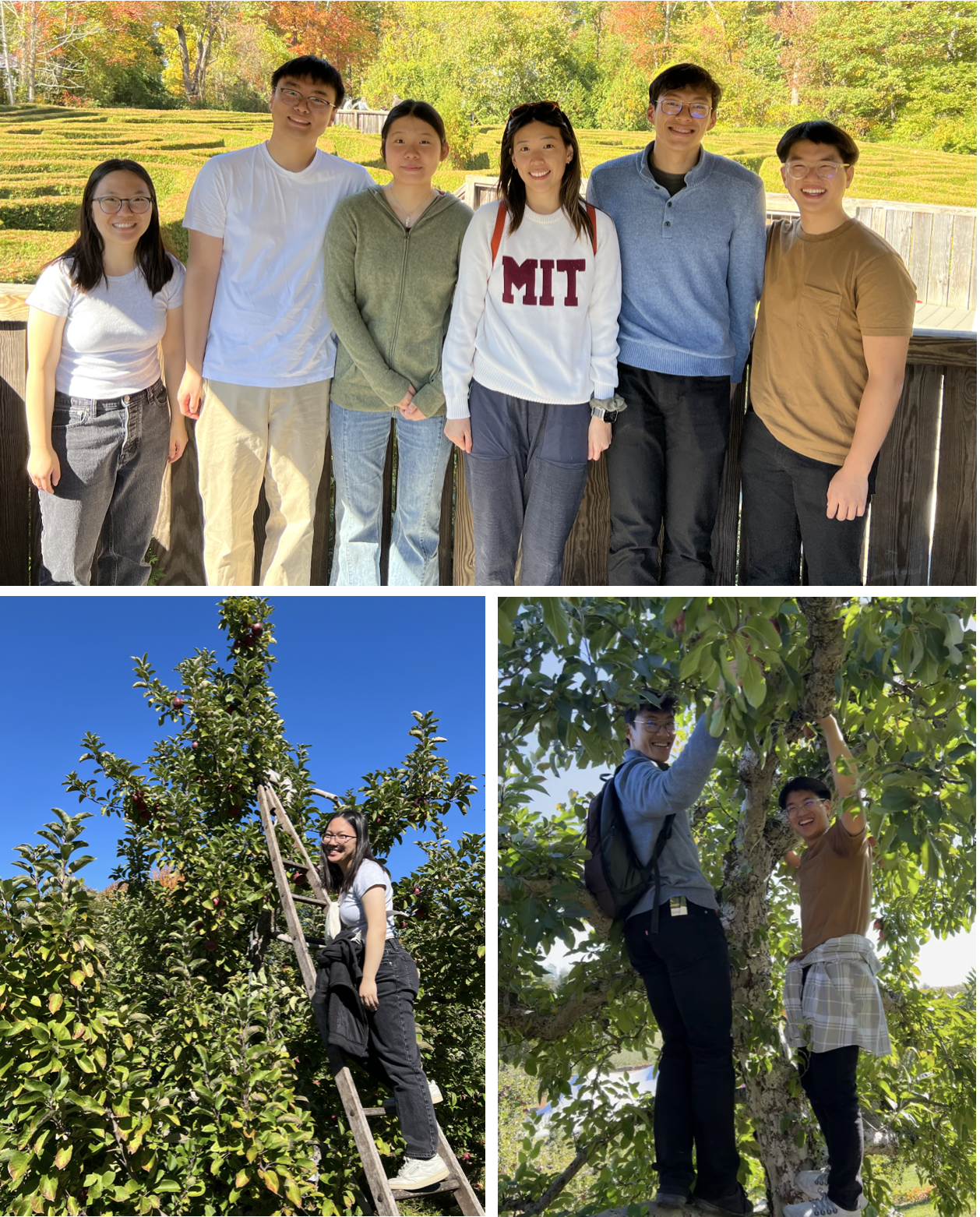 Liu Lab activity 5
